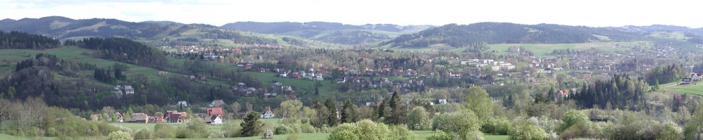 pankrzem1